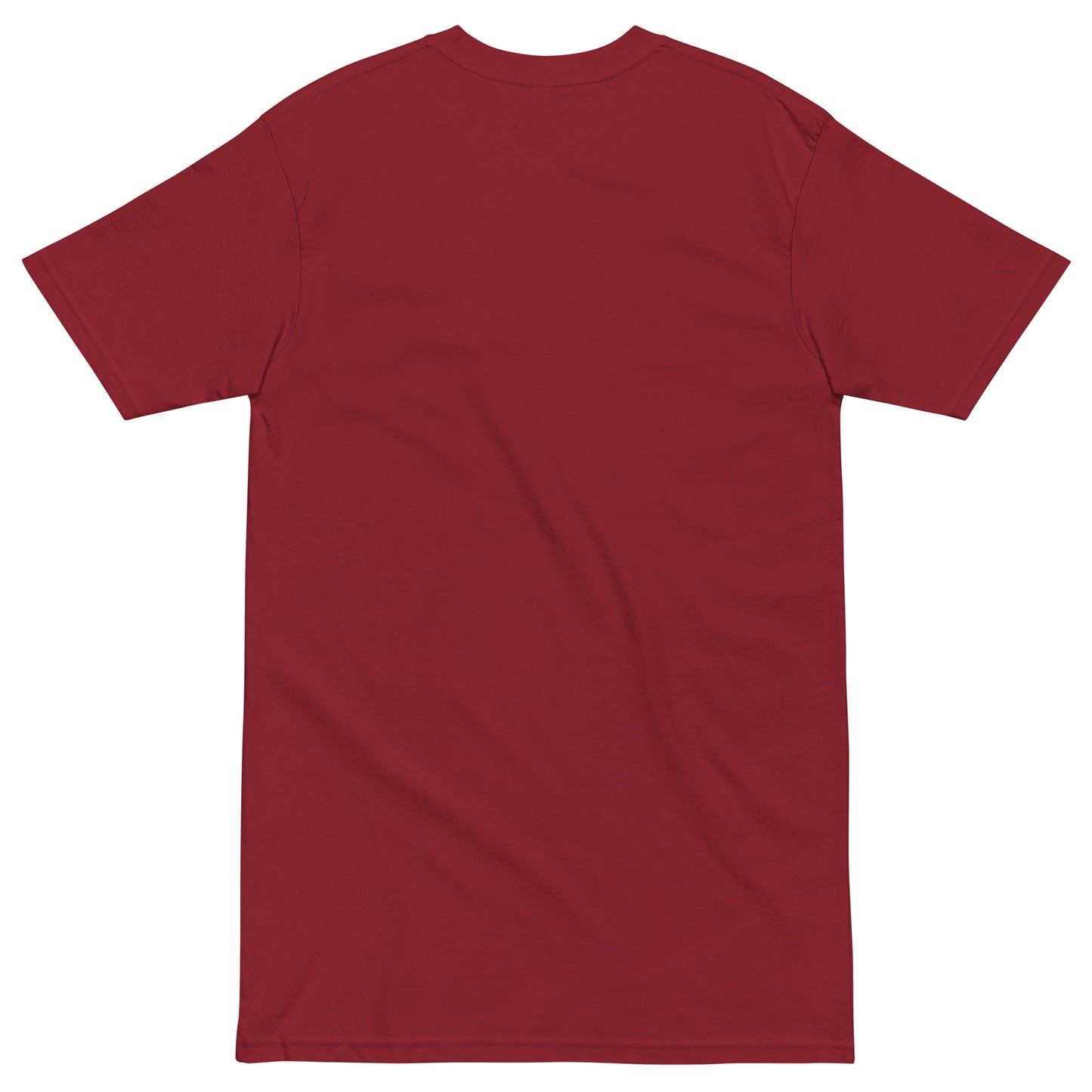 Up Front - Bold Humour - Short-Sleeve - Premium Heavyweight - Unisex T-Shirt - Graphic Tee - Brick Red - Back