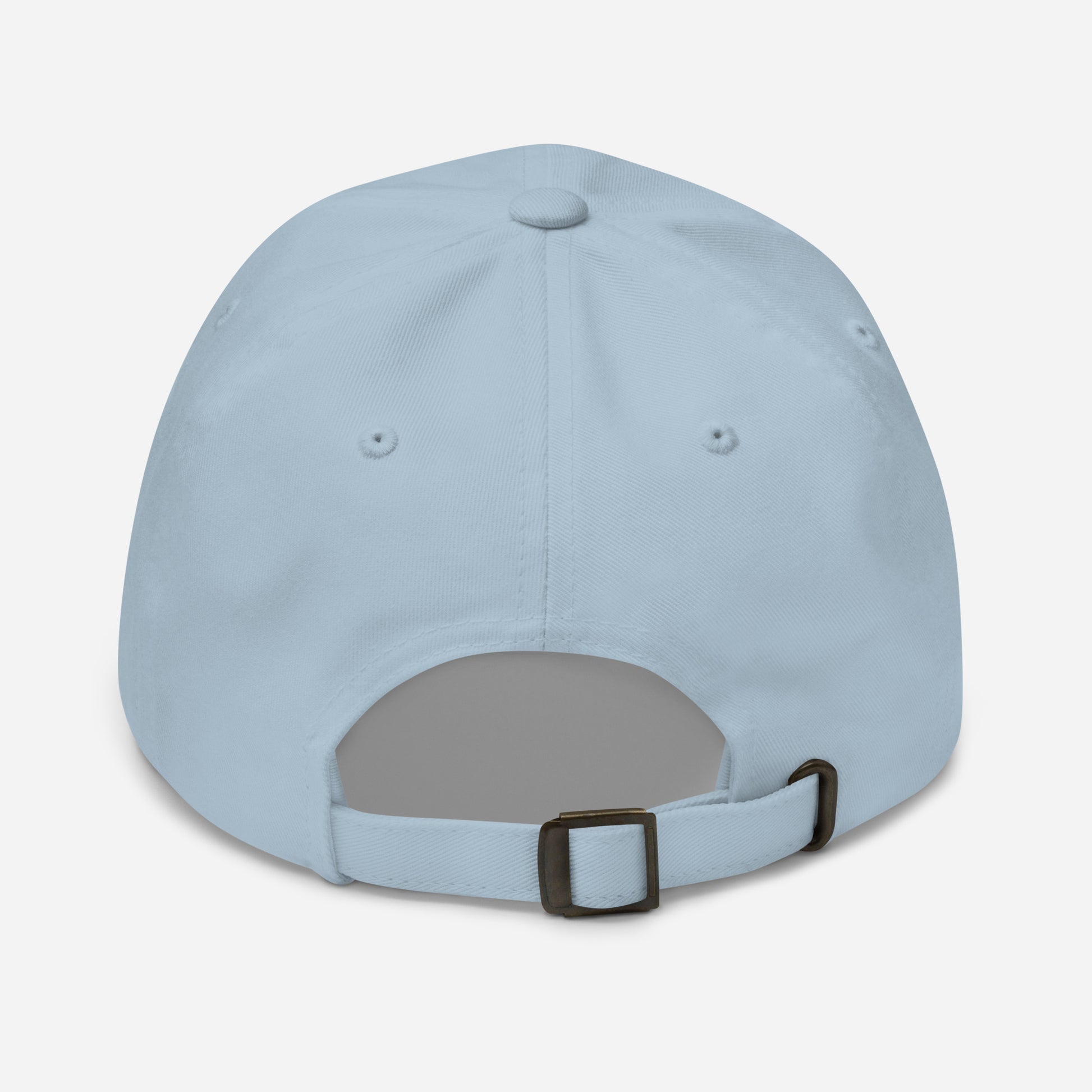 The Man - Armoured & Awesome - Cap - Baseball Cap - Light Blue - Back