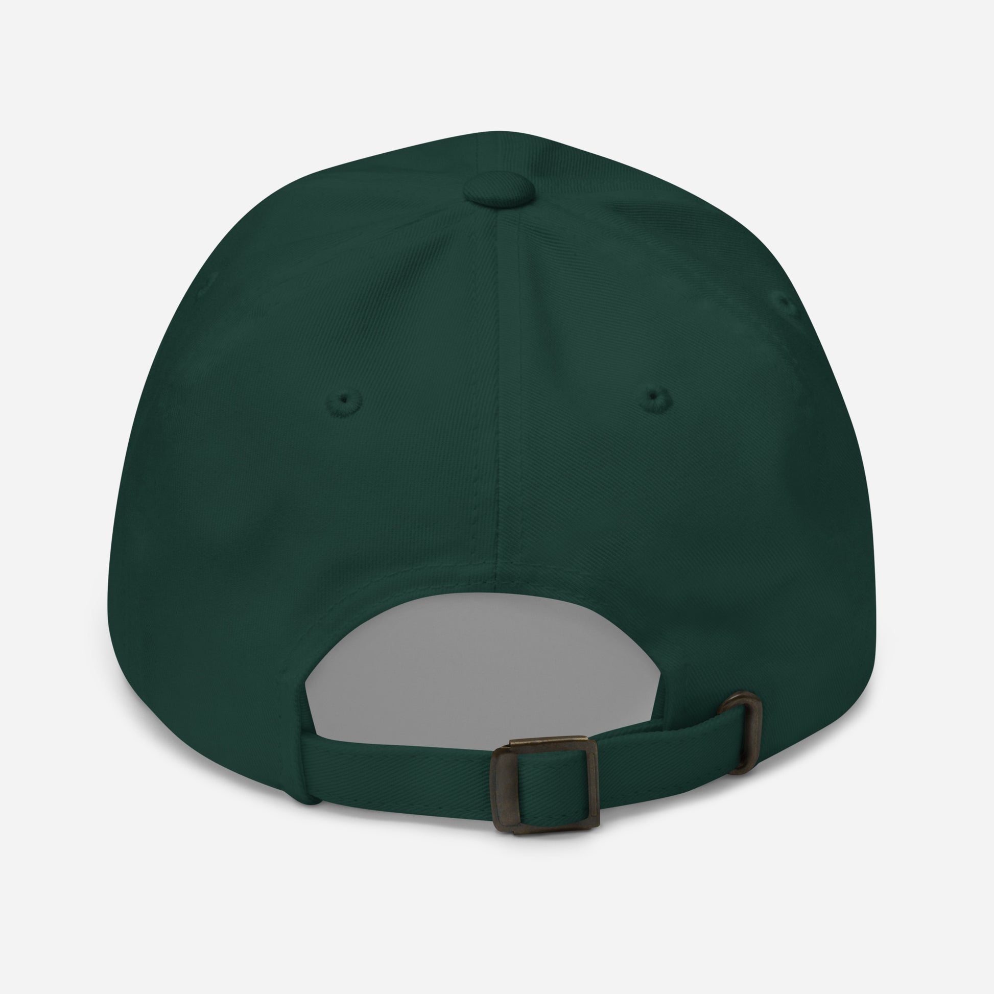 The Man - Armoured & Awesome - Cap - Baseball Cap - Spruce - Back