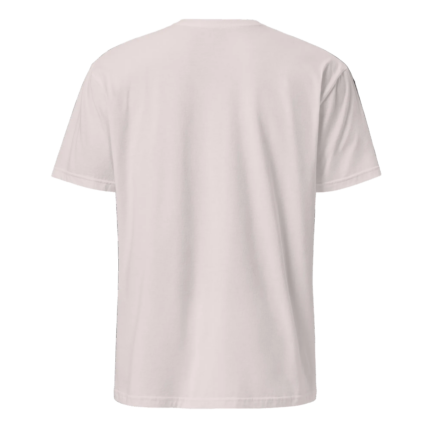 Houston, We Have a Problem… Again – Sci-Fi Streetwear - Short-Sleeve Unisex T-Shirt - Graphic Tee - Ice Grey - Back