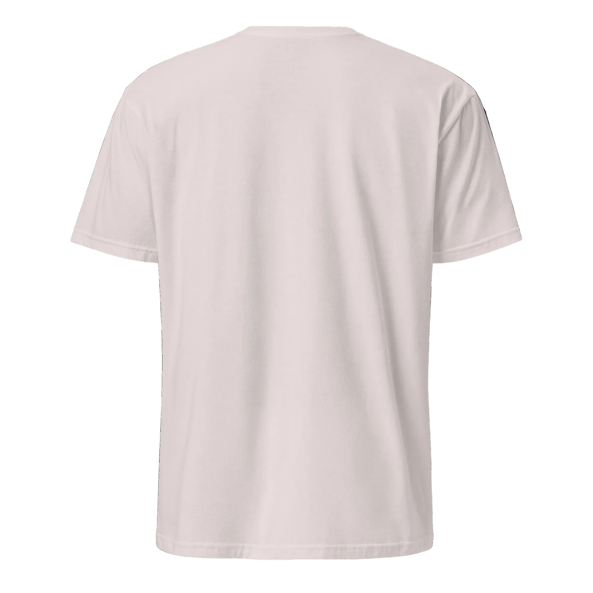 Houston, We Have a Problem… Again – Sci-Fi Streetwear - Short-Sleeve Unisex T-Shirt - Graphic Tee - Ice Grey - Back