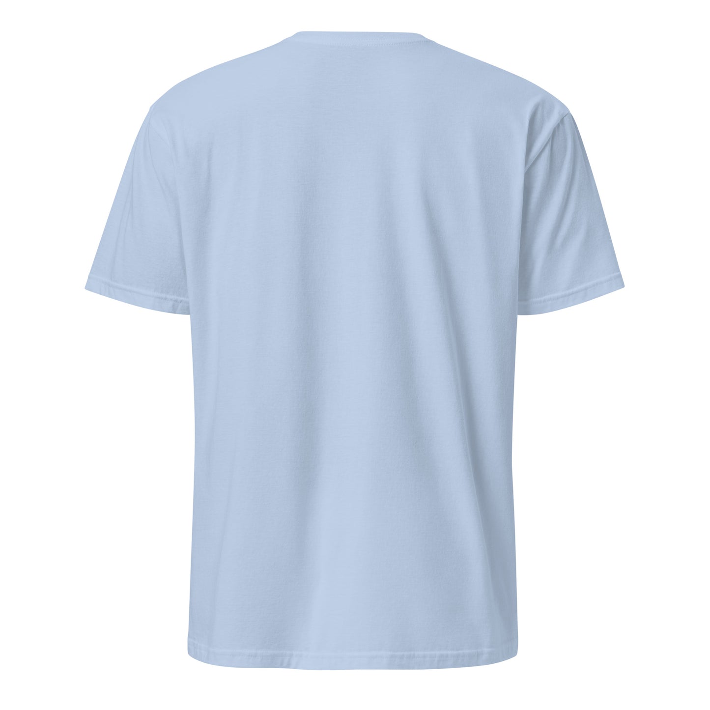 Live and Die in These Towns – Coventry Skyline - Short-Sleeve Unisex T-Shirt - Graphic Tee - Light blue - Back